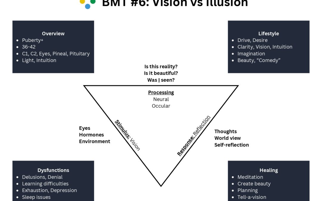 Body Mind Theme 6: Vision vs Illusion