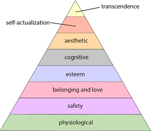 Wellness coach